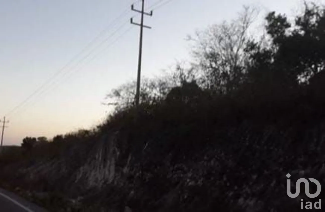 Terreno en Venta en Xpujil, Calakmul, Campeche | NEX-275265 | iad México | Foto 10 de 11