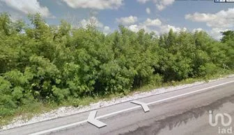 NEX-275267 - Terreno en Venta en Kikteil, CP 97303, Yucatán.