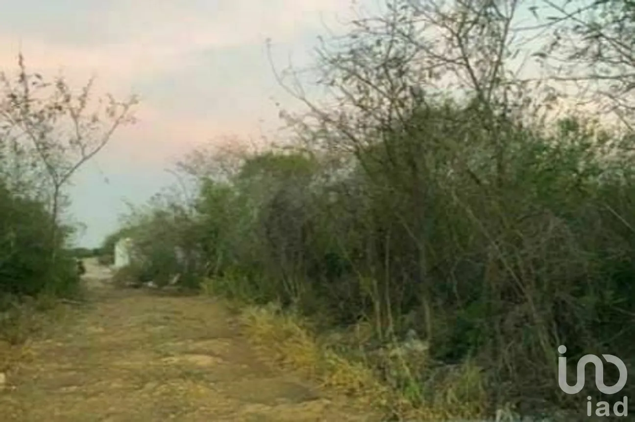 Terreno en Venta en Cholul, Mérida, Yucatán | NEX-275281 | iad México | Foto 2 de 5