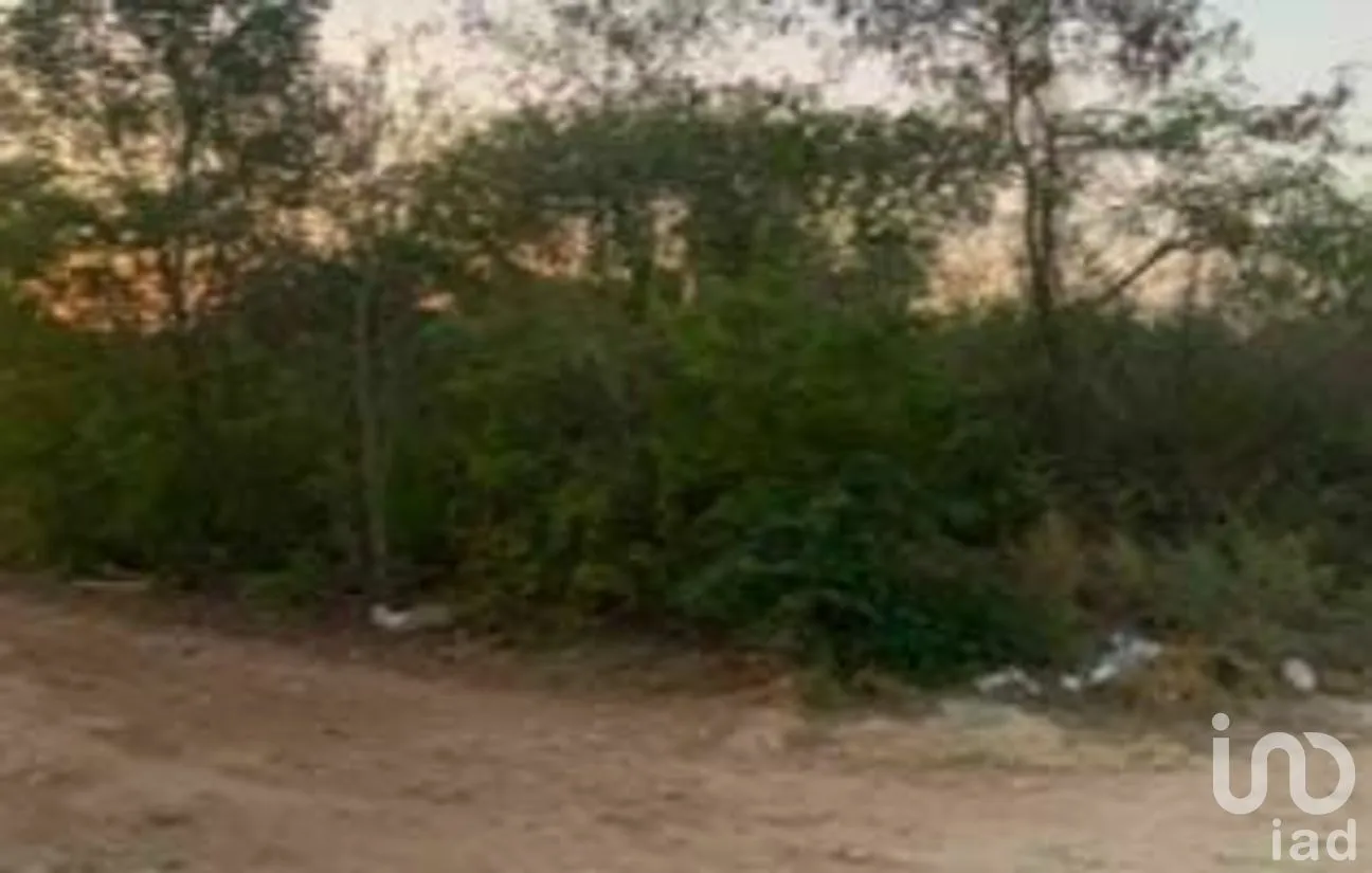 Terreno en Venta en Cholul, Mérida, Yucatán | NEX-275281 | iad México | Foto 4 de 5