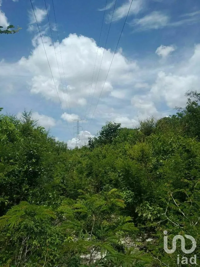 Terreno en Venta en Xpujil, Calakmul, Campeche | NEX-275283 | iad México | Foto 2 de 15