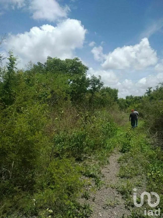 Terreno en Venta en Xpujil, Calakmul, Campeche | NEX-275283 | iad México | Foto 11 de 15