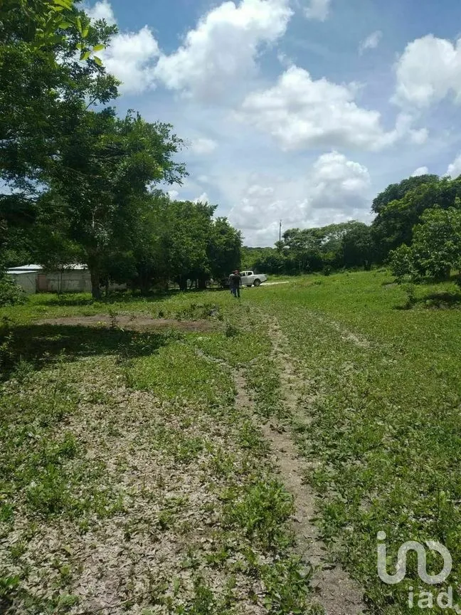 Terreno en Venta en Xpujil, Calakmul, Campeche | NEX-275283 | iad México | Foto 12 de 15
