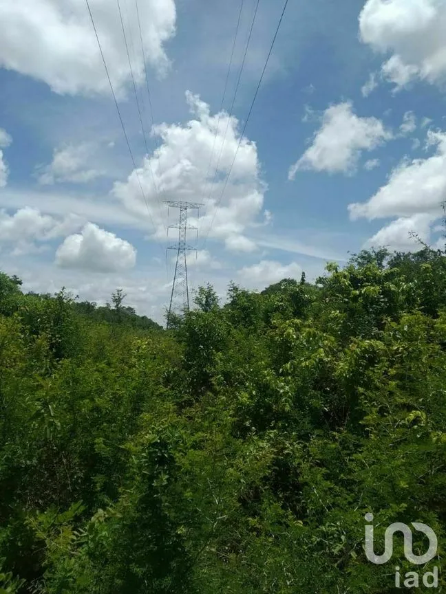 Terreno en Venta en Xpujil, Calakmul, Campeche | NEX-275283 | iad México | Foto 14 de 15