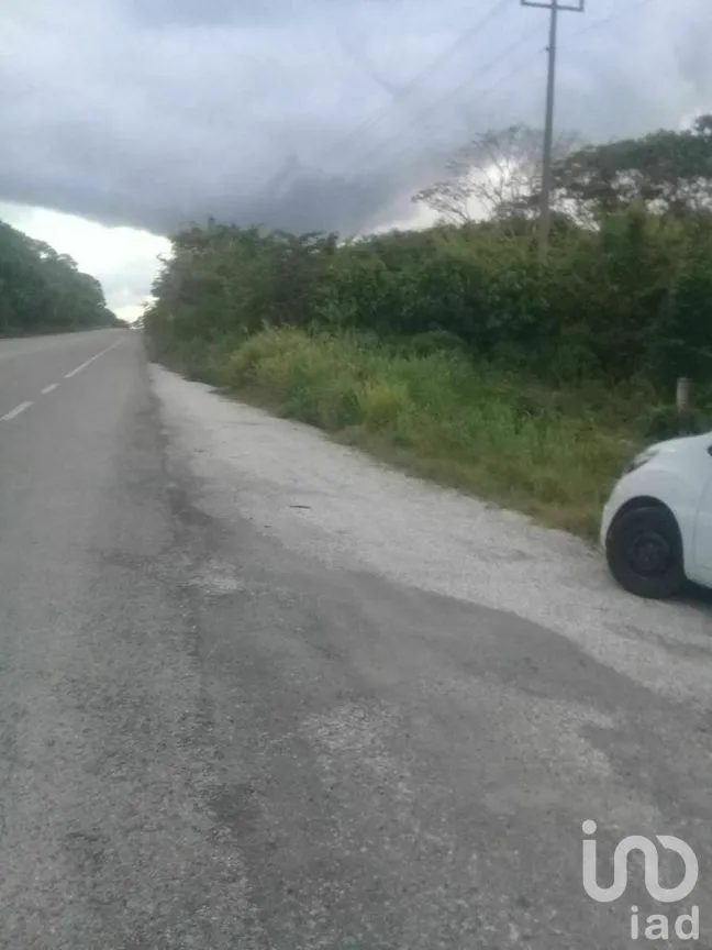 Terreno en Venta en Xpujil, Calakmul, Campeche | NEX-275283 | iad México | Foto 15 de 15