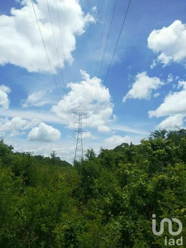 Terreno en Venta en Xpujil, Calakmul, Campeche | NEX-275283 | iad México | Foto 4 de 15