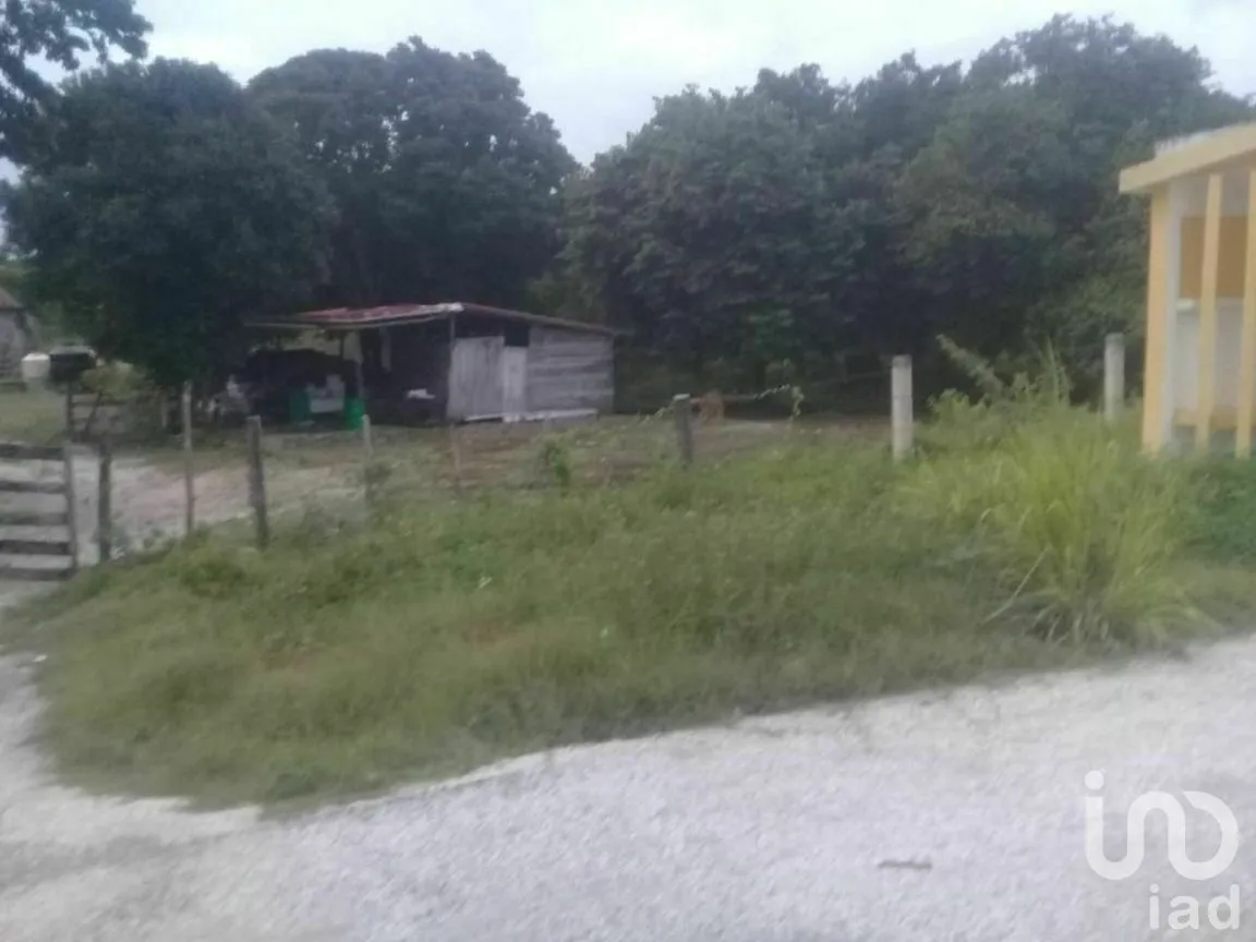 Terreno en Venta en Xpujil, Calakmul, Campeche | NEX-275283 | iad México | Foto 6 de 15