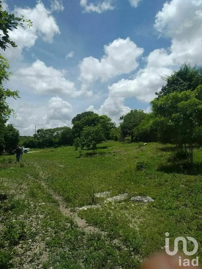 Terreno en Venta en Xpujil, Calakmul, Campeche | NEX-275283 | iad México | Foto 7 de 15