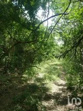 NEX-275283 - Terreno en Venta en Xpujil, CP 24640, Campeche.