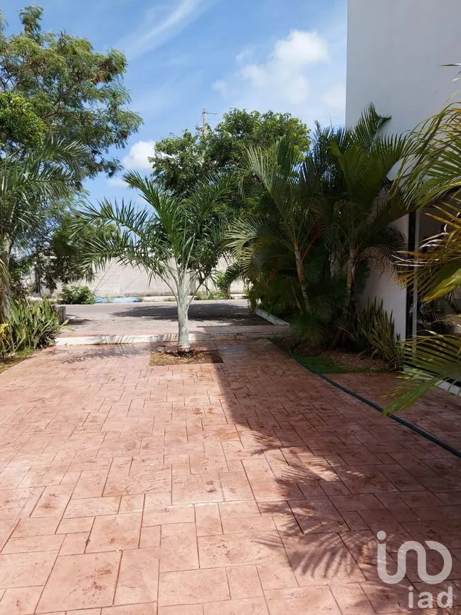 Local en Venta en Ciudad Caucel, Mérida, Yucatán | NEX-275286 | iad México | Foto 12 de 39
