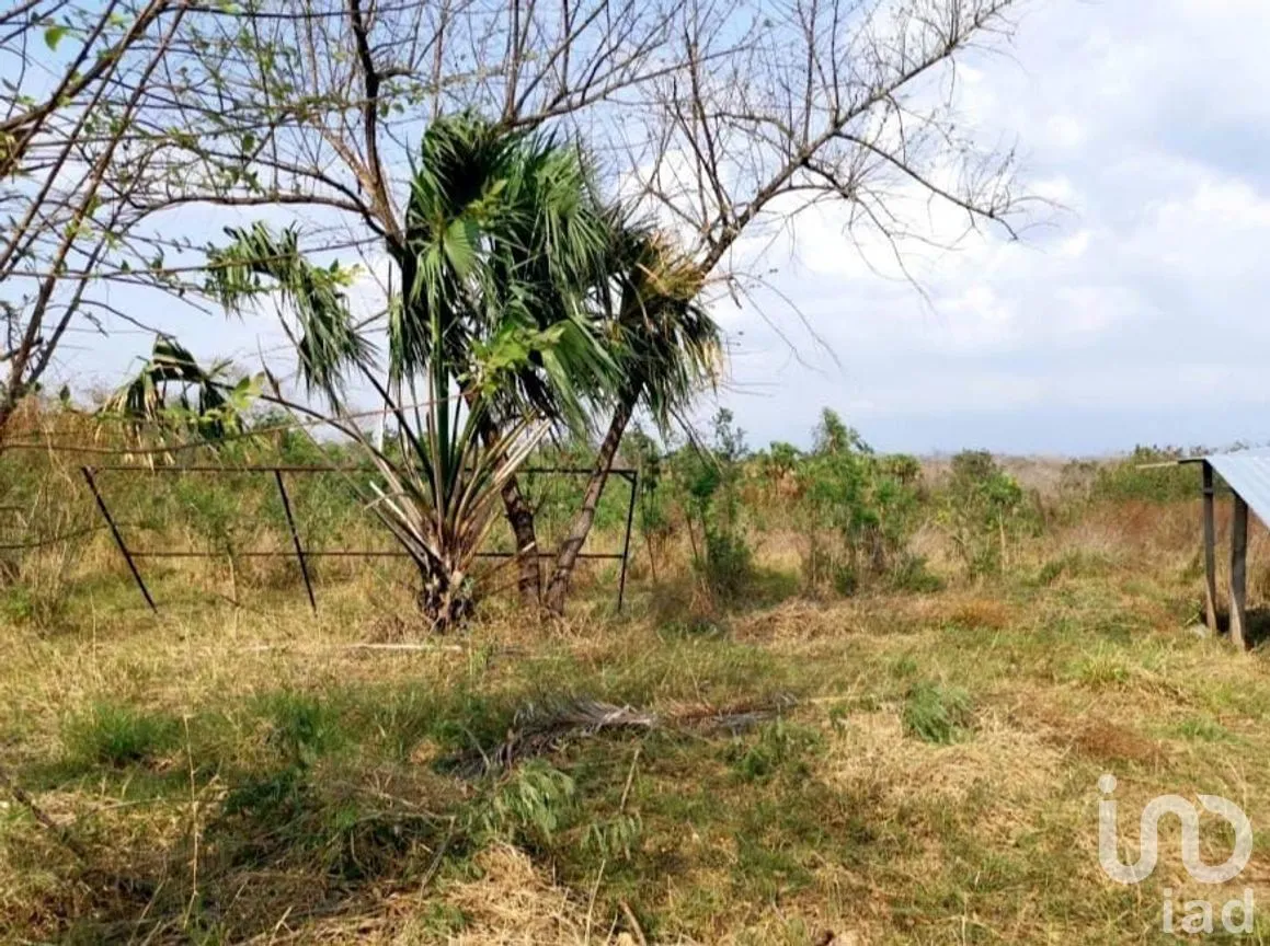 Terreno en Venta en Champotón Centro, Champotón, Campeche | NEX-275297 | iad México | Foto 11 de 11