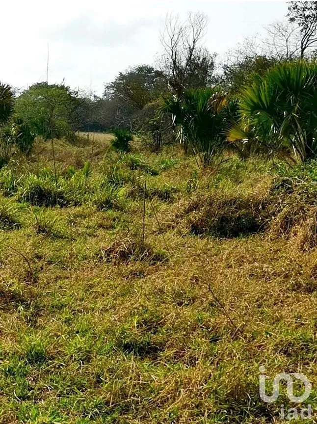 Terreno en Venta en Champotón Centro, Champotón, Campeche | NEX-275297 | iad México | Foto 3 de 11