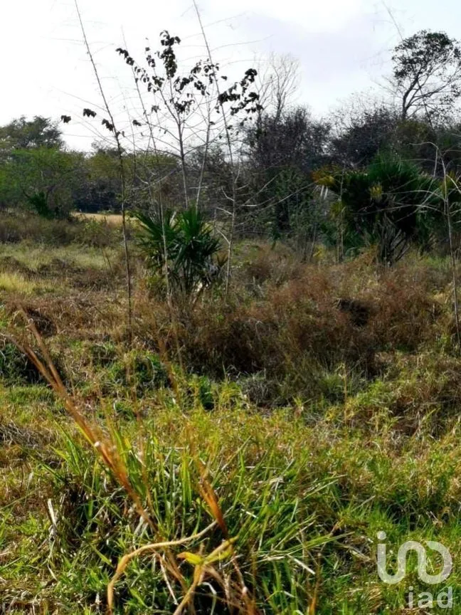 Terreno en Venta en Champotón Centro, Champotón, Campeche | NEX-275297 | iad México | Foto 8 de 11