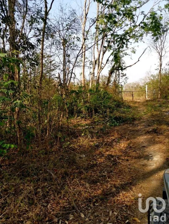 Terreno en Venta en Champotón Centro, Champotón, Campeche | NEX-275297 | iad México | Foto 9 de 11