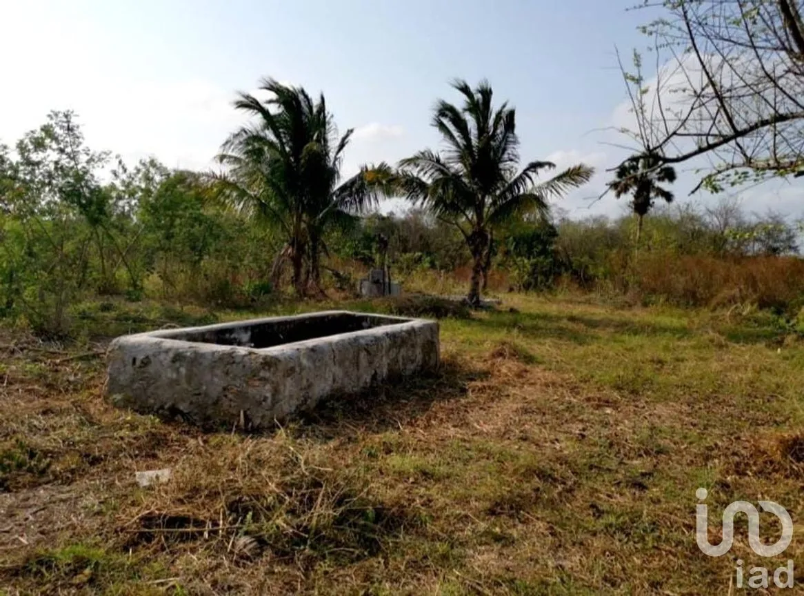 Terreno en Venta en Champotón Centro, Champotón, Campeche | NEX-275297 | iad México | Foto 10 de 11