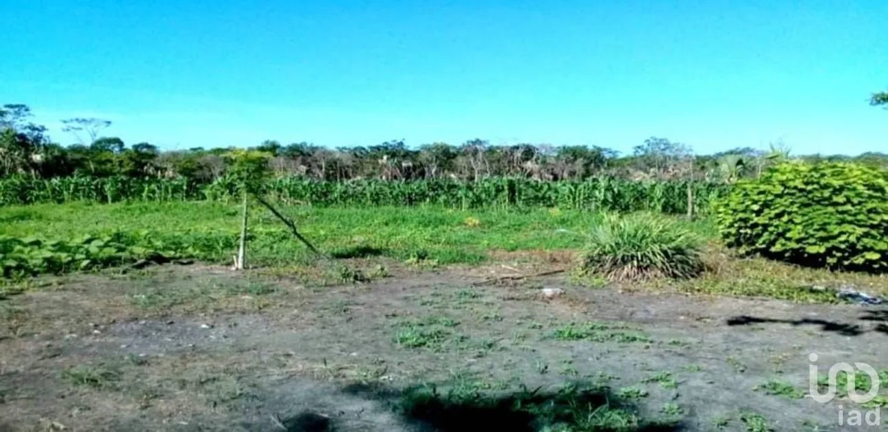 Terreno en Venta en Champotón Centro, Champotón, Campeche | NEX-275297 | iad México | Foto 1 de 11