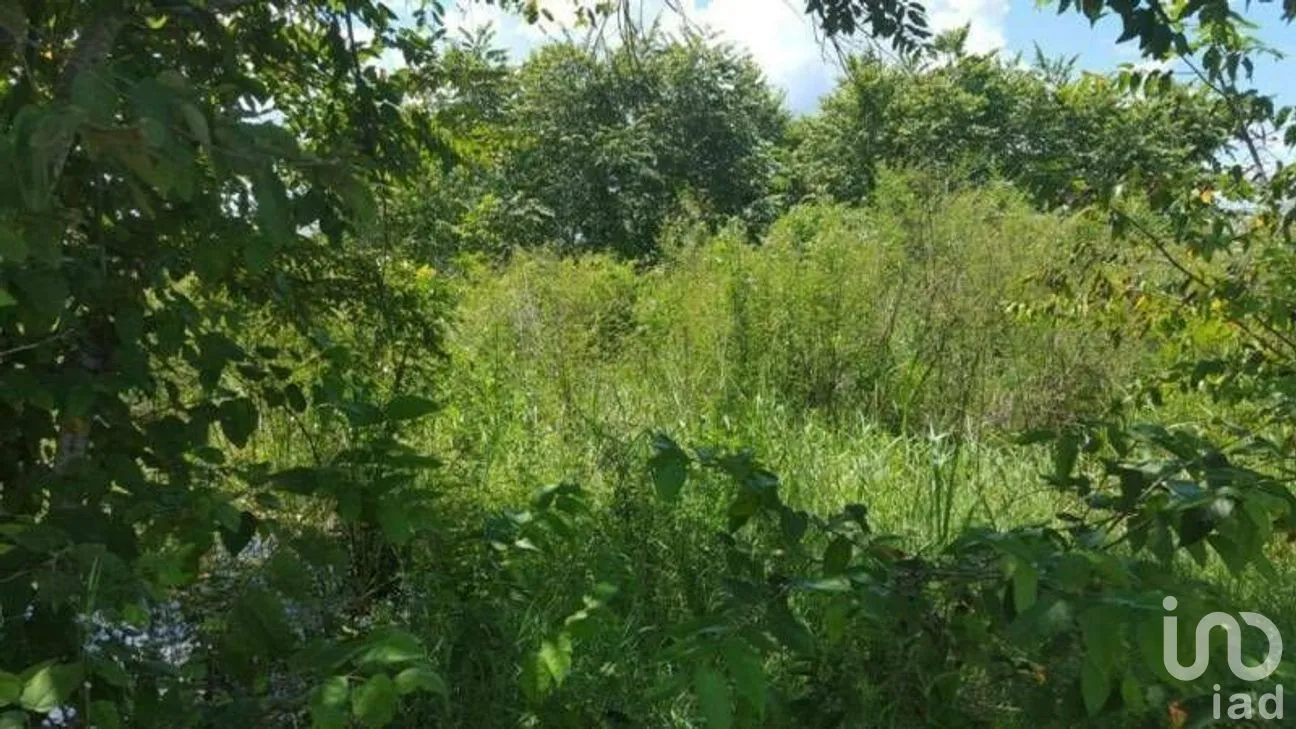 Terreno en Venta en Hopelchen Centro, Hopelchén, Campeche | NEX-275300 | iad México | Foto 1 de 10