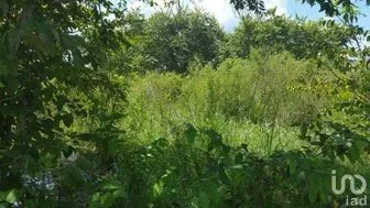 NEX-275300 - Terreno en Venta en Hopelchen Centro, CP 24600, Campeche.