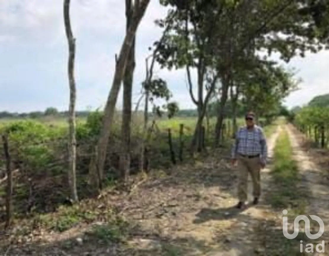 Terreno en Venta en Escárcega Centro, Escárcega, Campeche | NEX-275309 | iad México | Foto 2 de 7