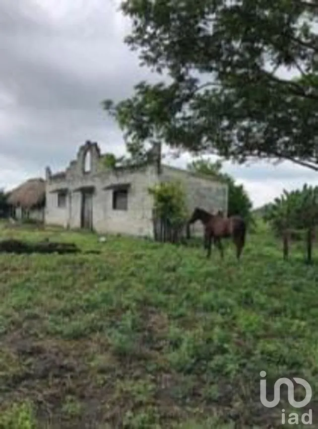 Terreno en Venta en Escárcega Centro, Escárcega, Campeche | NEX-275309 | iad México | Foto 6 de 7