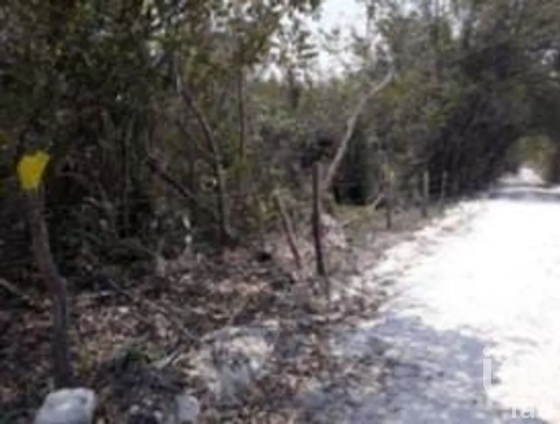 Terreno en Venta en Escárcega Centro, Escárcega, Campeche | NEX-275309 | iad México | Foto 7 de 7