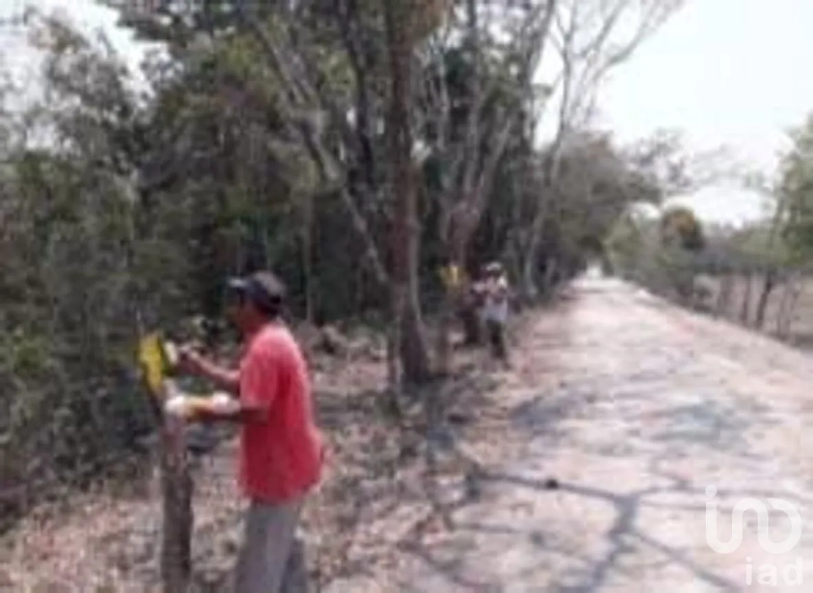Terreno en Venta en Escárcega Centro, Escárcega, Campeche | NEX-275309 | iad México | Foto 1 de 7