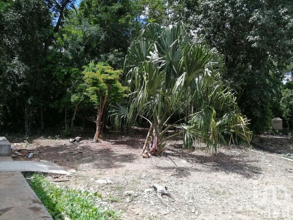 Terreno en Venta en Pisteakal, Tzucacab, Yucatán | NEX-275324 | iad México | Foto 3 de 11
