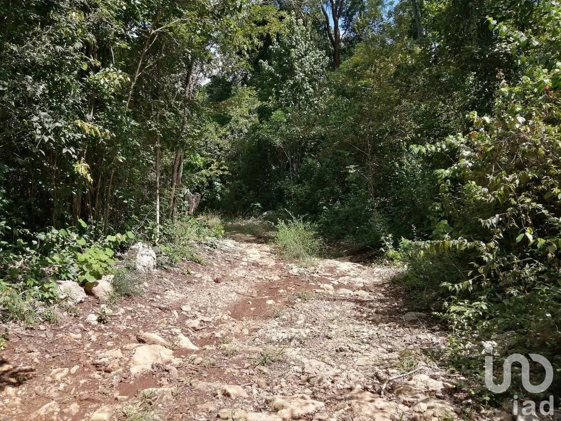 Terreno en Venta en Pisteakal, Tzucacab, Yucatán | NEX-275324 | iad México | Foto 10 de 11