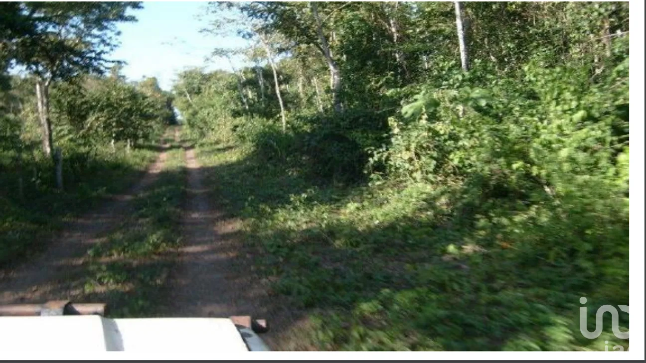 Terreno en Venta en José María Morelos, José María Morelos, Quintana Roo | NEX-275335 | iad México | Foto 2 de 10
