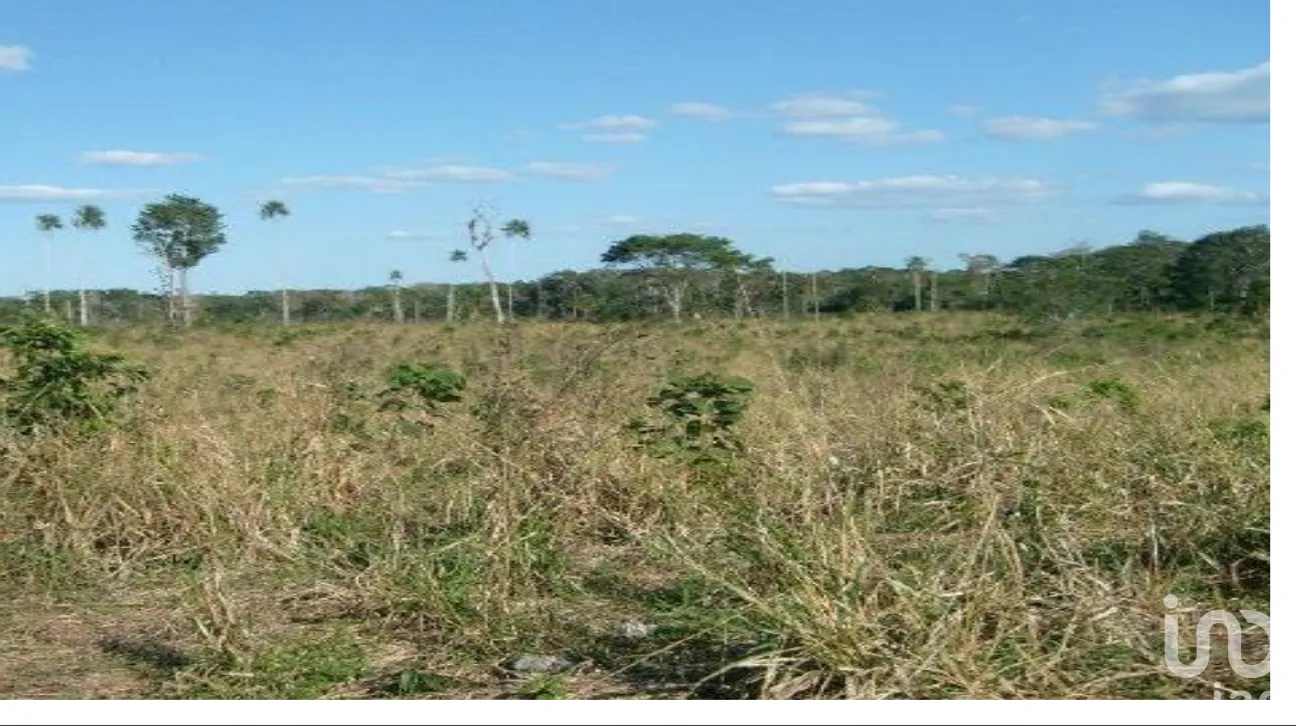Terreno en Venta en José María Morelos, José María Morelos, Quintana Roo | NEX-275335 | iad México | Foto 3 de 10