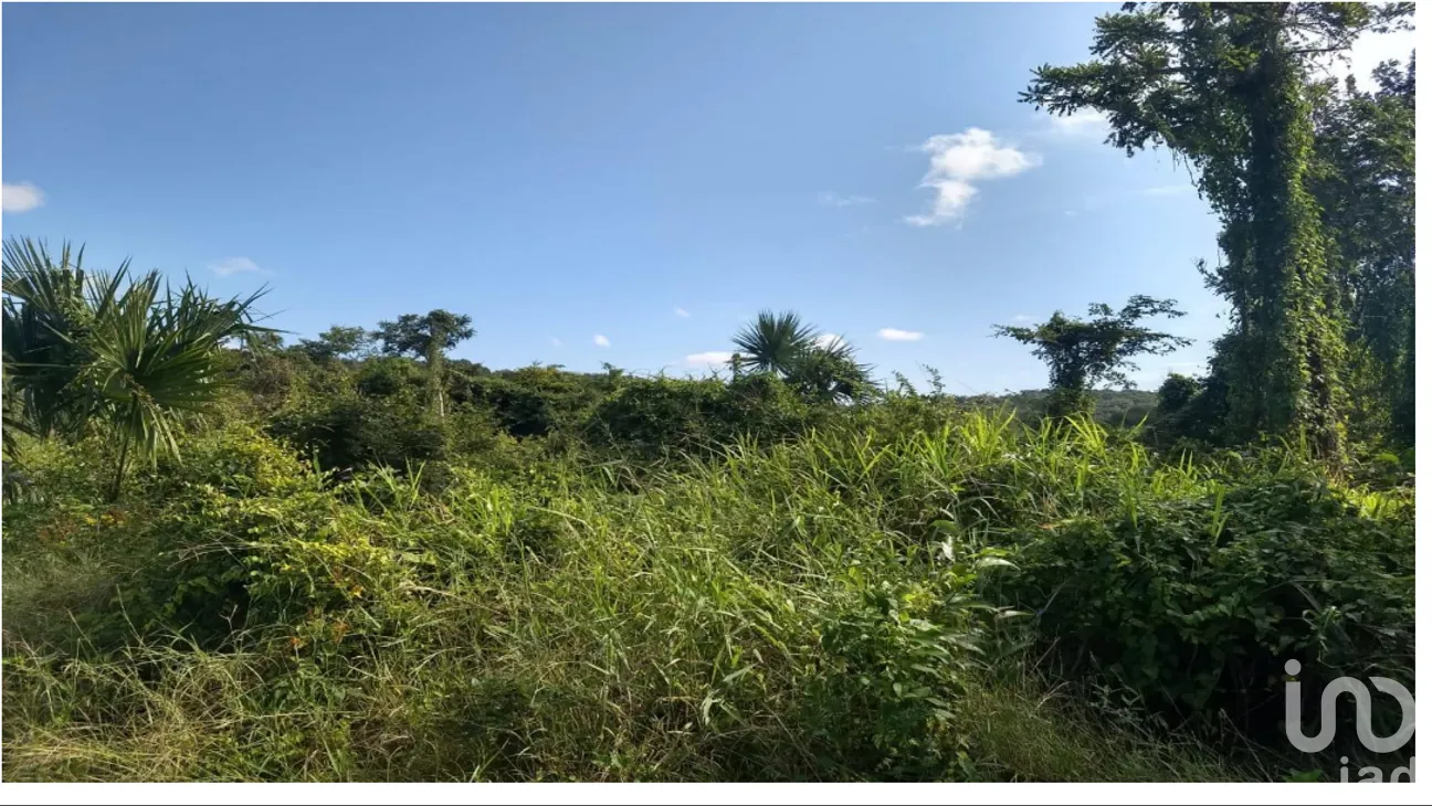 Terreno en Venta en José María Morelos, José María Morelos, Quintana Roo | NEX-275335 | iad México | Foto 6 de 10