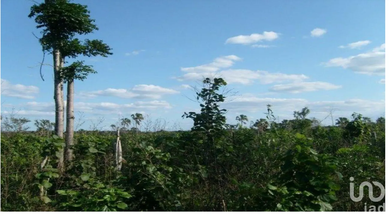 Terreno en Venta en José María Morelos, José María Morelos, Quintana Roo | NEX-275335 | iad México | Foto 1 de 10