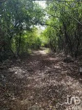 NEX-275341 - Terreno en Venta en Tekal de Venegas, CP 97535, Yucatán.