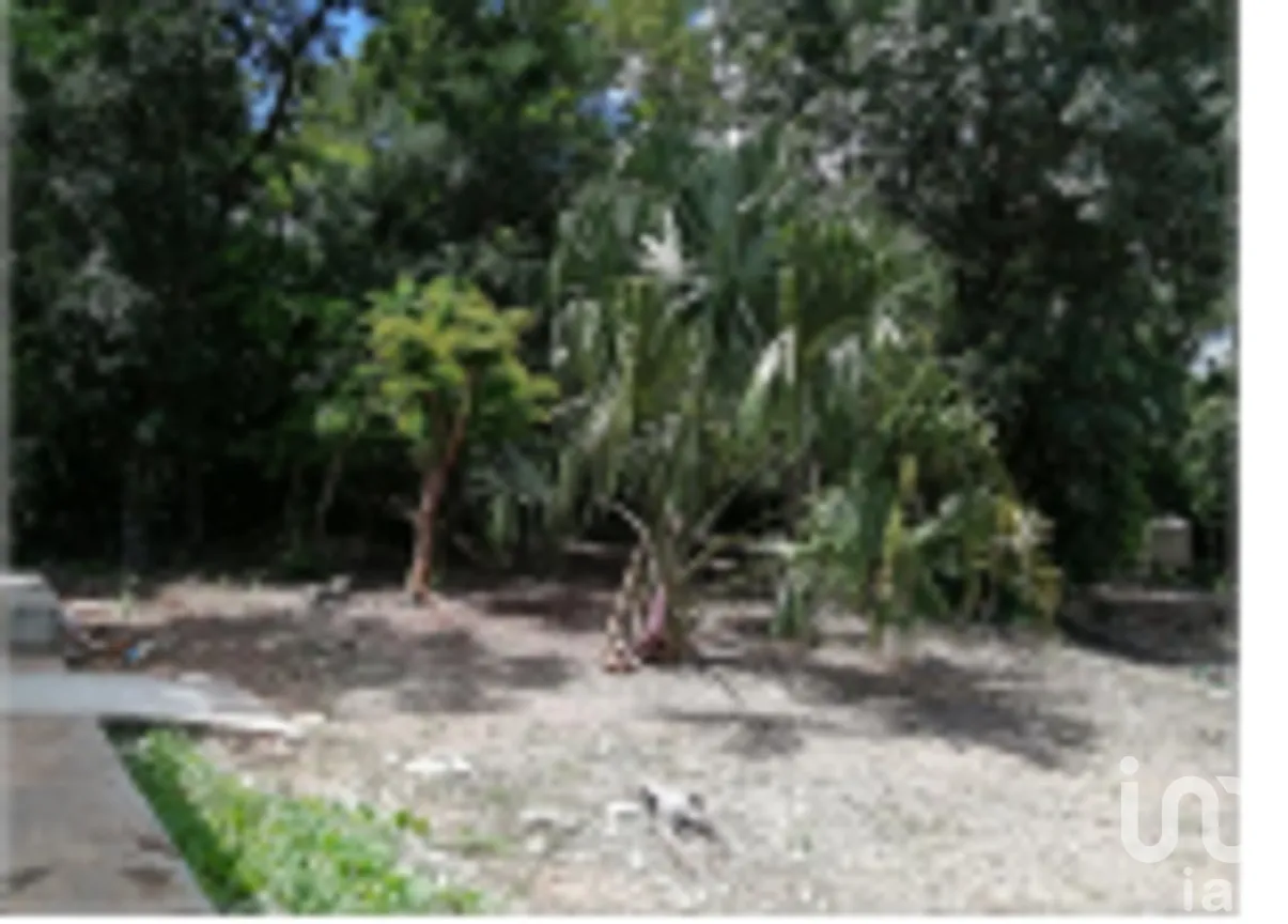 Terreno en Venta en Tzucacab Centro, Tzucacab, Yucatán | NEX-275345 | iad México | Foto 2 de 5