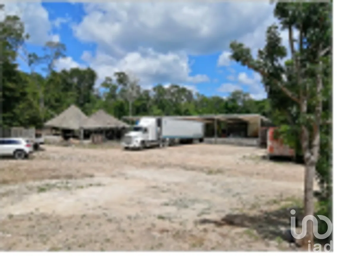 Terreno en Venta en Tzucacab Centro, Tzucacab, Yucatán | NEX-275345 | iad México | Foto 3 de 5