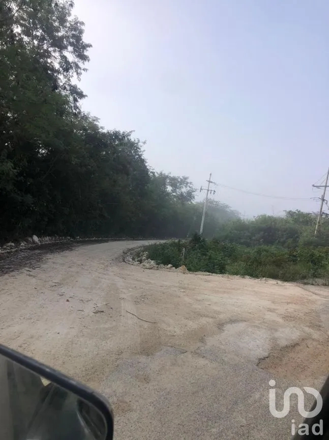 Terreno en Venta en Tzucacab Centro, Tzucacab, Yucatán | NEX-275354 | iad México | Foto 3 de 4