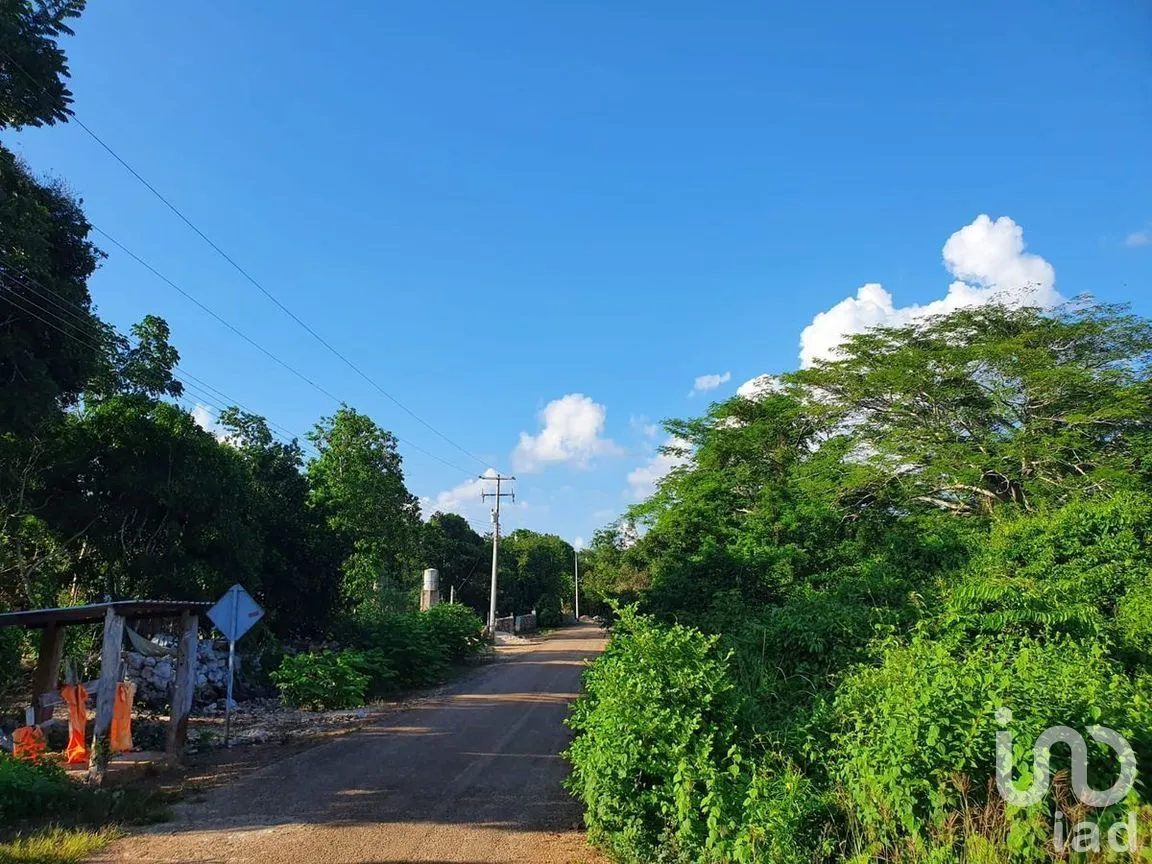 Terreno en Venta en Tixhualactun, Peto, Yucatán | NEX-275358 | iad México | Foto 4 de 10
