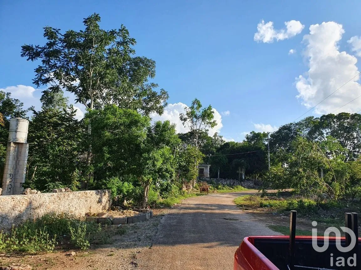 Terreno en Venta en Tixhualactun, Peto, Yucatán | NEX-275358 | iad México | Foto 5 de 10