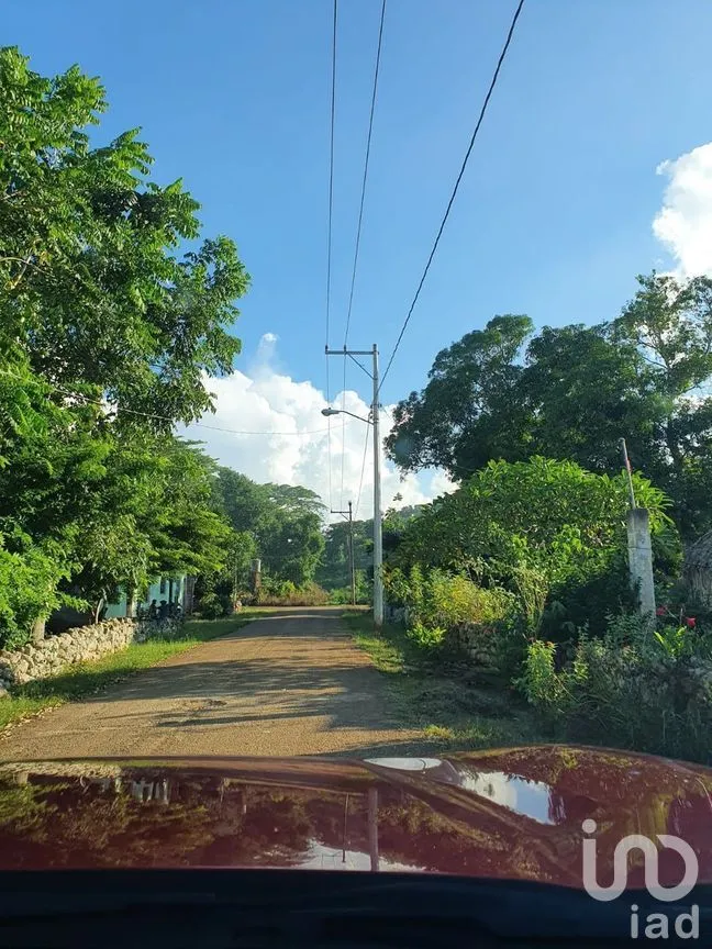 Terreno en Venta en Tixhualactun, Peto, Yucatán | NEX-275358 | iad México | Foto 6 de 10