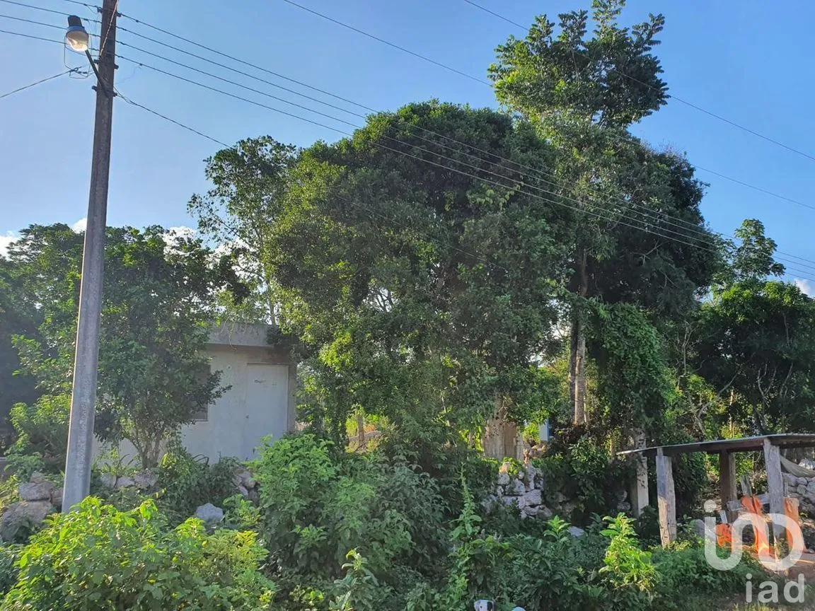 Terreno en Venta en Tixhualactun, Peto, Yucatán | NEX-275358 | iad México | Foto 9 de 10