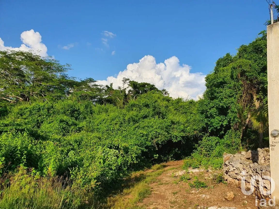 Terreno en Venta en Tixhualactun, Peto, Yucatán | NEX-275358 | iad México | Foto 10 de 10