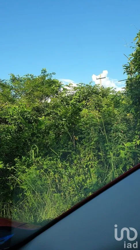 Terreno en Venta en Tixhualactun, Peto, Yucatán | NEX-275358 | iad México | Foto 1 de 10