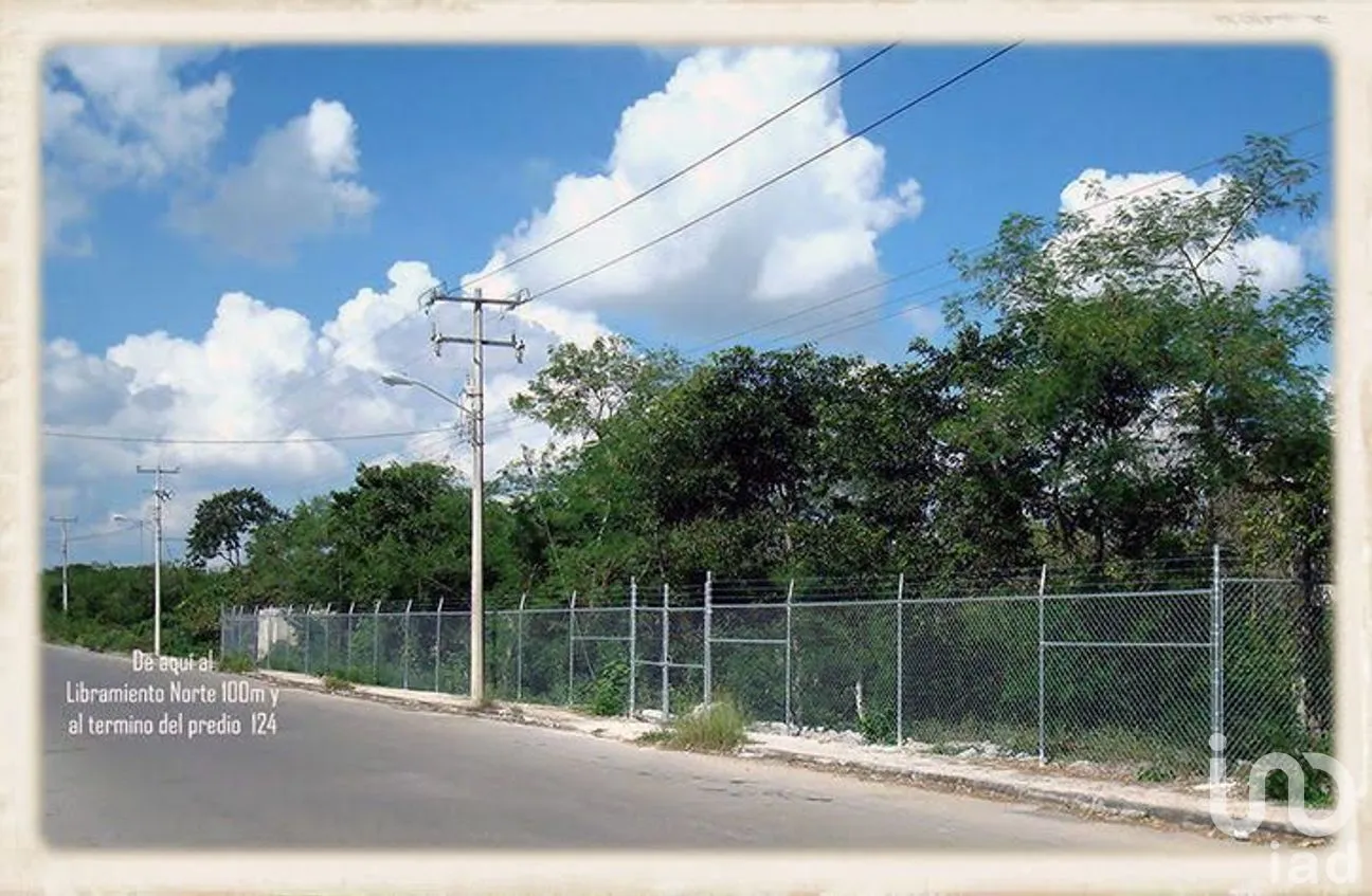 Terreno en Venta en Dzununcán, Mérida, Yucatán | NEX-275368 | iad México | Foto 7 de 11