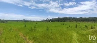 NEX-275371 - Terreno en Venta en Del Sur, CP 97287, Yucatán.