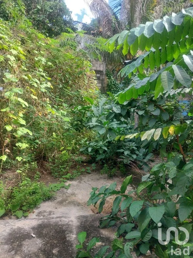 Casa en Venta en Izamal, Izamal, Yucatán | NEX-275374 | iad México | Foto 2 de 8