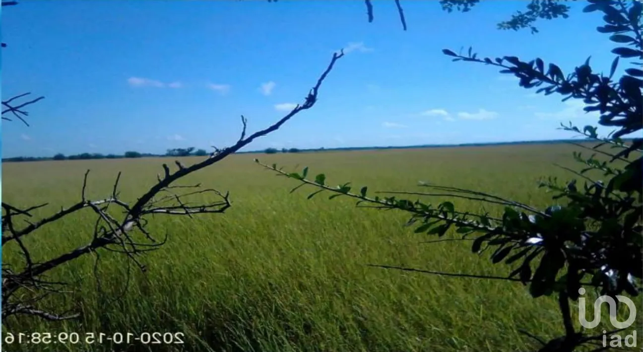 Terreno en Venta en Champotón Centro, Champotón, Campeche | NEX-275376 | iad México | Foto 11 de 15
