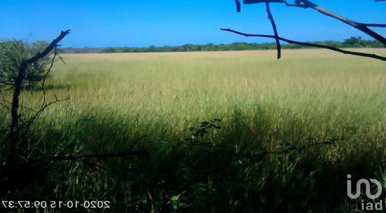 Terreno en Venta en Champotón Centro, Champotón, Campeche | NEX-275376 | iad México | Foto 12 de 15