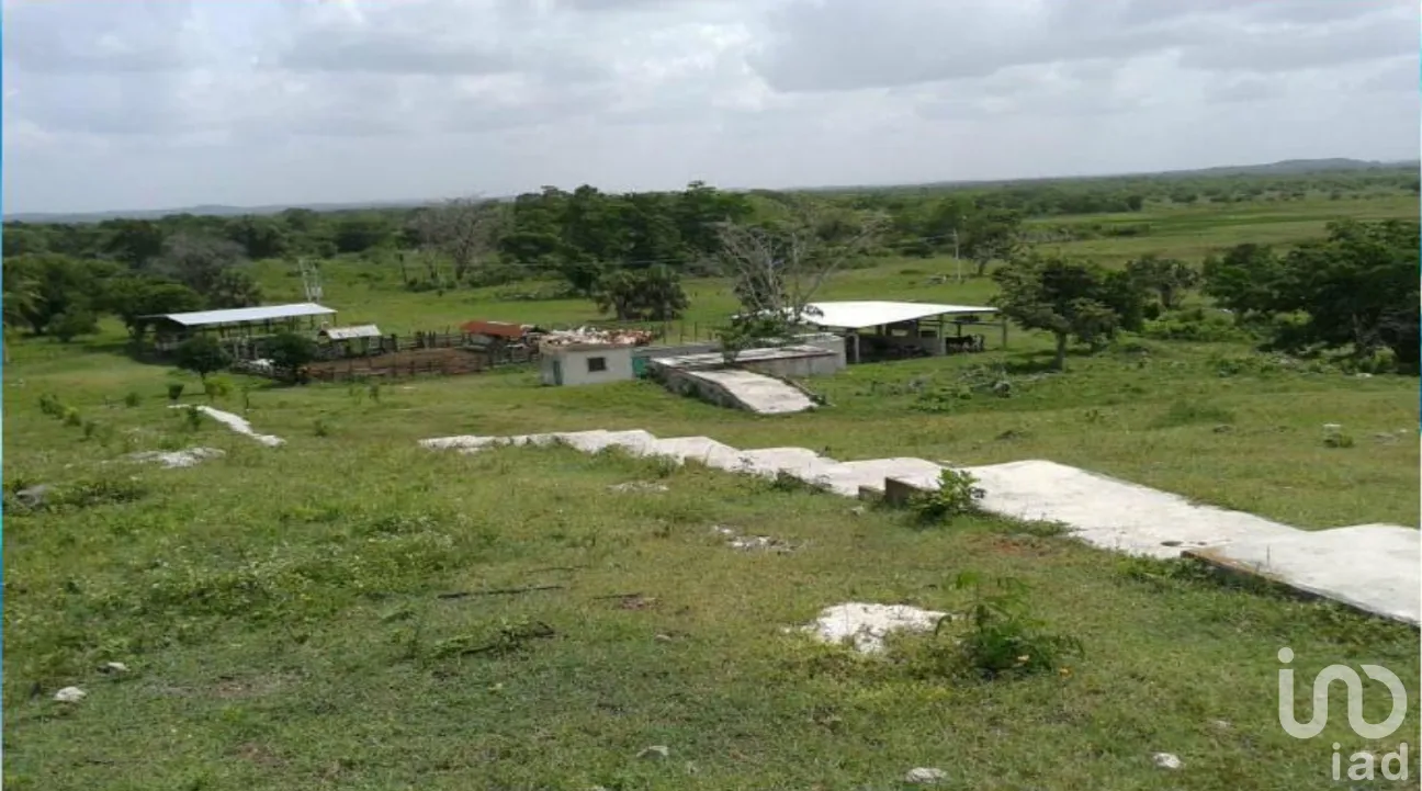 Terreno en Venta en Champotón Centro, Champotón, Campeche | NEX-275376 | iad México | Foto 15 de 15