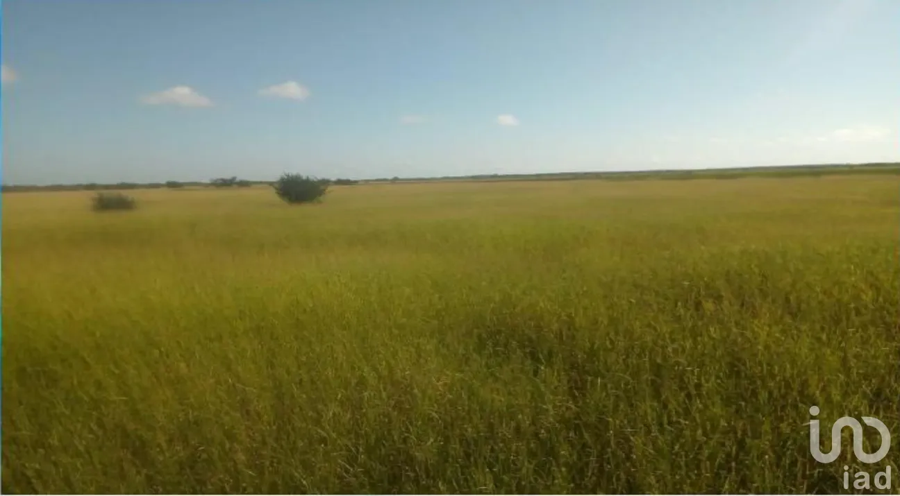 Terreno en Venta en Champotón Centro, Champotón, Campeche | NEX-275376 | iad México | Foto 3 de 15