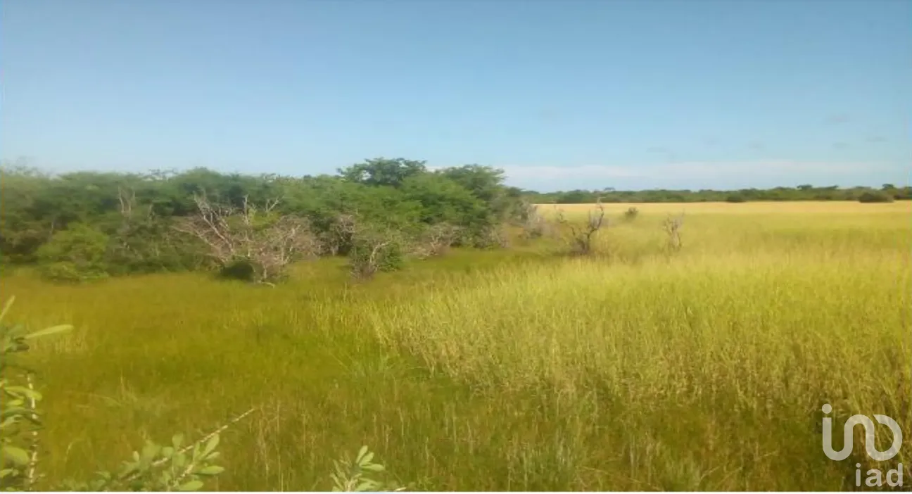 Terreno en Venta en Champotón Centro, Champotón, Campeche | NEX-275376 | iad México | Foto 5 de 15